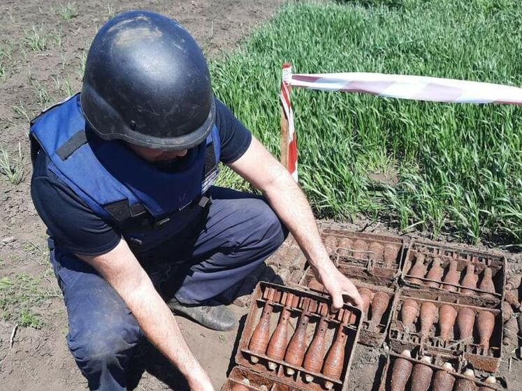 163 мины и артснаряда. Житель Харьковской области выкопал в огороде арсенал времен Второй мировой войны
