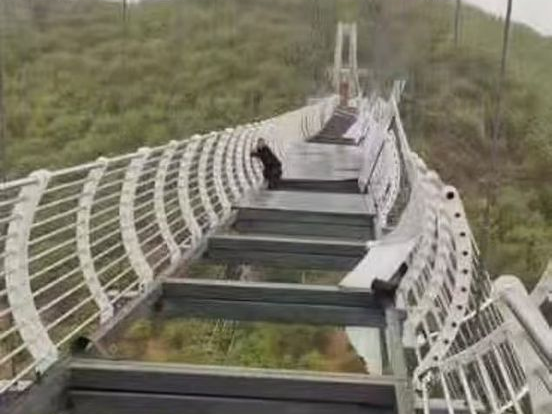 В Китае турист завис над пропастью в 100 м на разрушенном ветром стеклянном мосту
