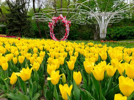 Прокуратура провела обыски в 