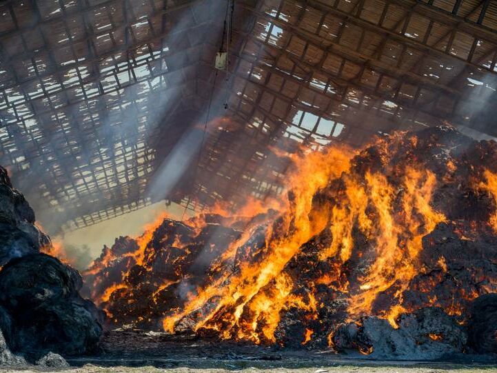 У Росії школярки спалили ферму на зніманні відео для TikTok
