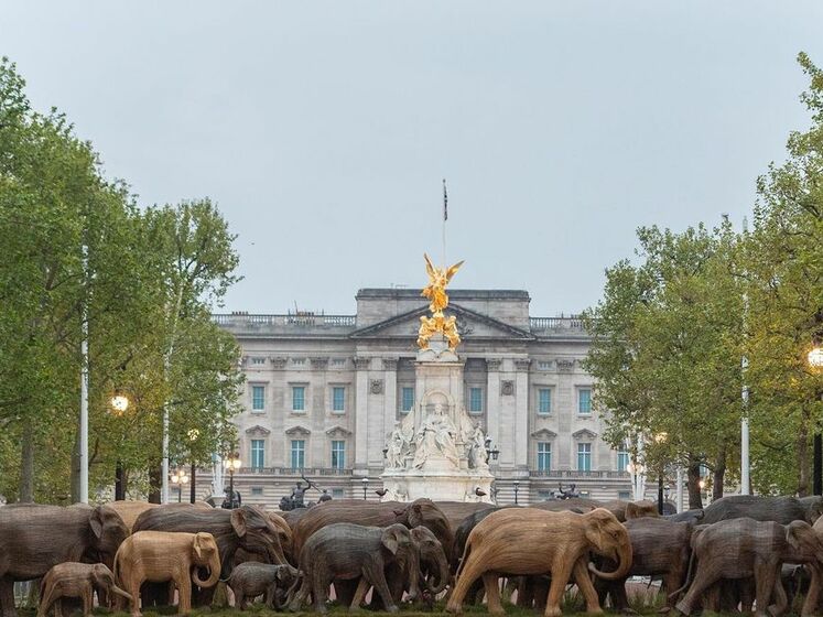 Стадо деревянных слонов "пригнали" к Букингемскому дворцу