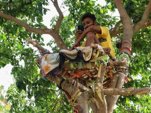 Хворий на COVID-19 індієць провів на дереві 11 днів, щоб не заразити свою сім'ю