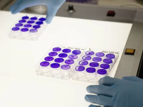 В Австралии заявили о создании лекарства от коронавируса с эффективностью 99,9%