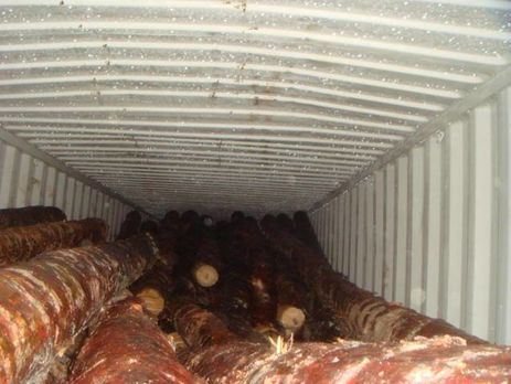 В Одесском порту СБУ перекрыла канал незаконного экспорта древесины в Европу