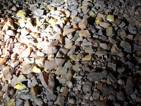 В Киеве правоохранители изъяли почти 120 кг незаконно добытого янтаря 