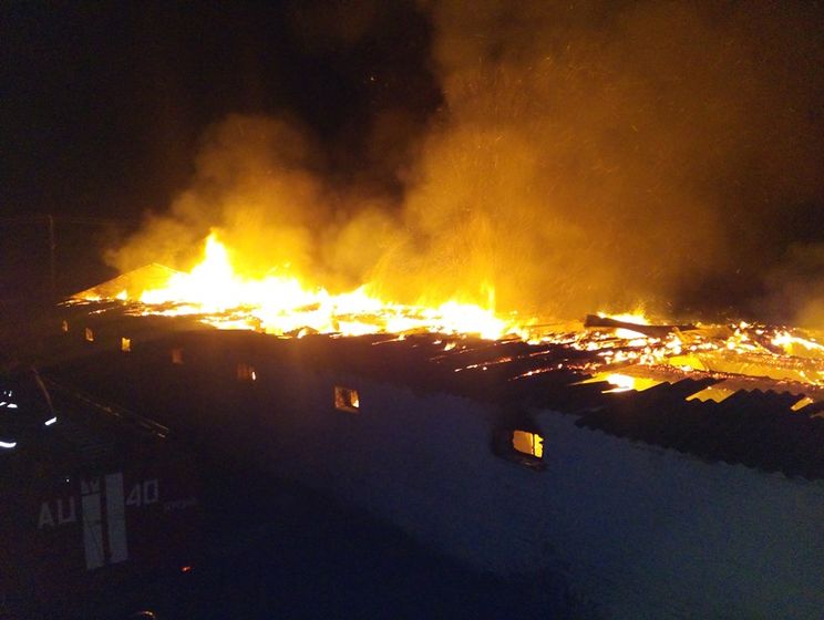 При пожаре в Киевской области сгорело семь тысяч кур