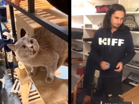 Кіт, який співає, став зіркою інтернету, відео з його співом зібрало мільйони переглядів. У ролику знялася й українка
