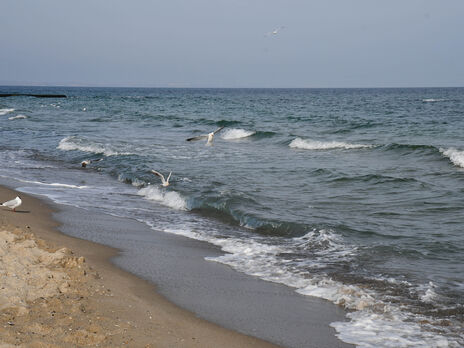 В Одесі тимчасово не рекомендують купатися в морі через епідеміологічні причини