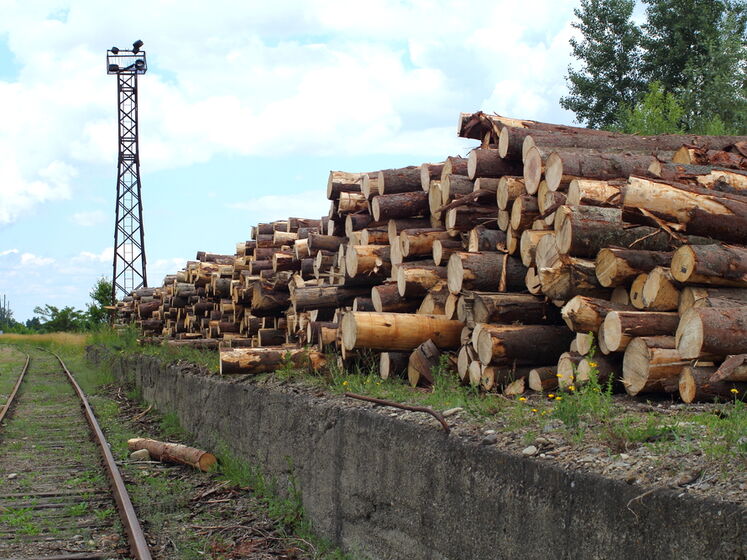 Минэкономики Украины изменило законопроект об отмене моратория на экспорт леса-кругляка