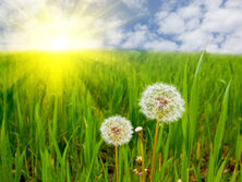 24 июня: какой сегодня праздник, у кого именины, приметы и запреты этого дня