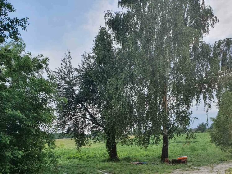 У Черкаській області блискавка вбила двох людей, ще одна у реанімації – медики