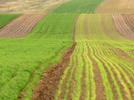Глава Минагрополитики об открытии рынка земли: Мы уничтожили коррупционный рассадник