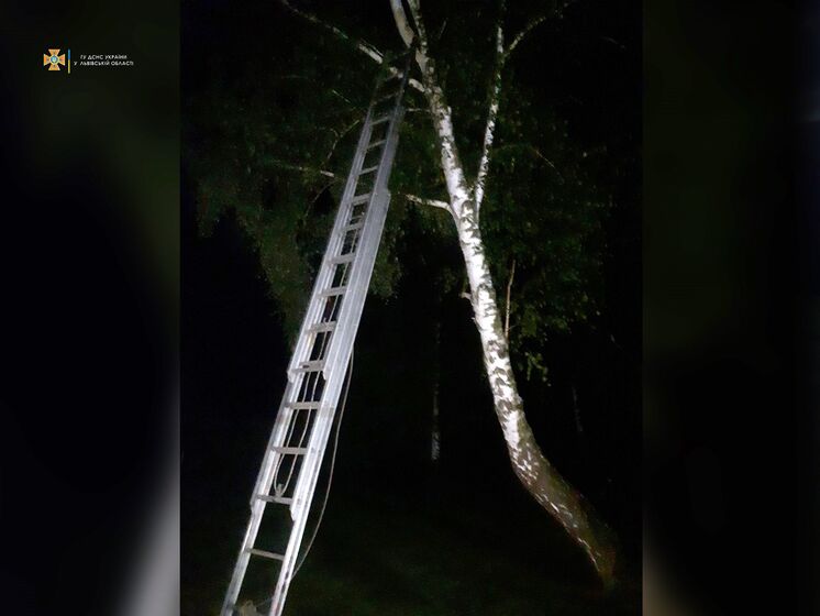 Во Львовской области восьмилетний ребенок, спасаясь от травли, залез на дерево. Его снимали спасатели