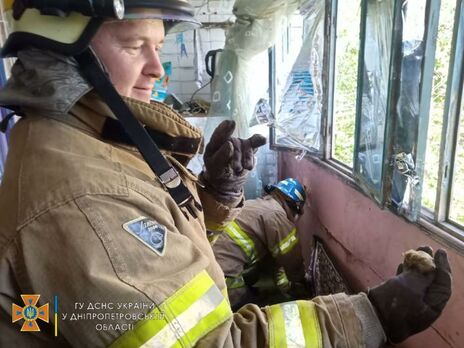 В Днепропетровской области на балконе квартиры спасатели нашли 156 летучих мышей