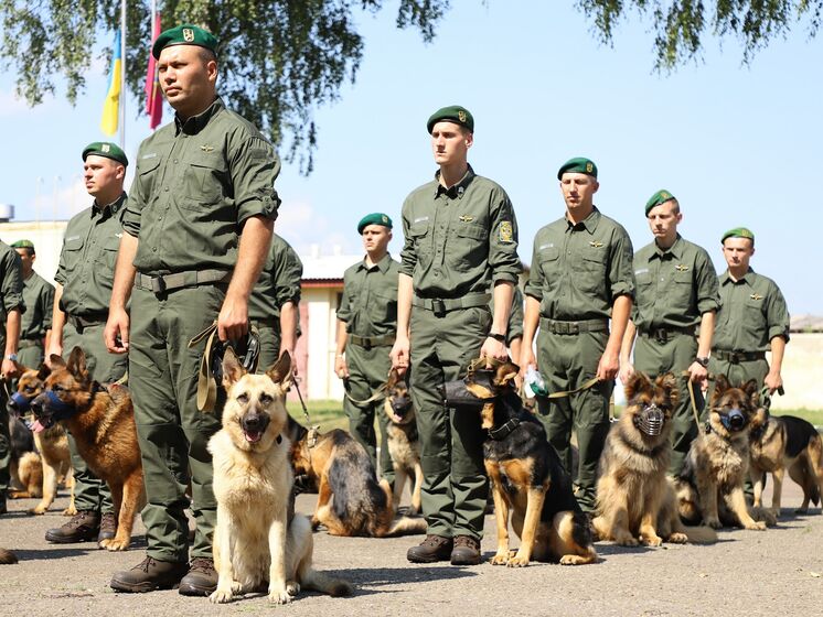 Пограничные собаки впервые будут участвовать в параде ко Дню Независимости – Госпогранслужба Украины