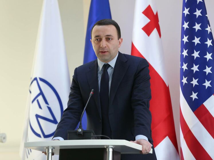Премьер-министр Грузии заявил, что за беспорядками в Тбилиси стоит Саакашвили