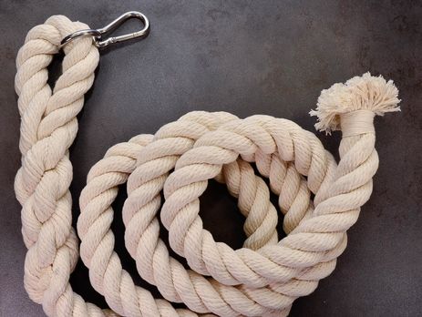 Врачи-сексологи предлагают минобразования РФ запретить школьницам лазать по канату на физкультуре