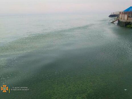 В курортной Затоке утонул турист, его сына ищет полиция