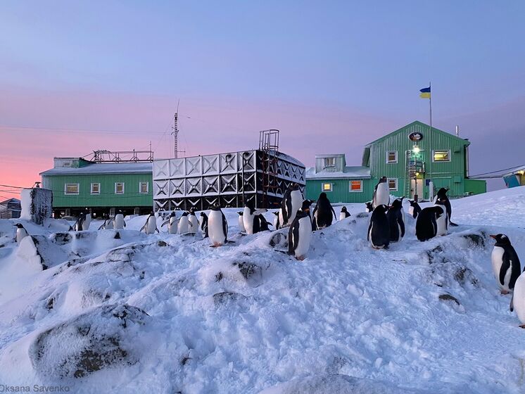 Український антарктичний центр оголосив набір у 27-му експедицію