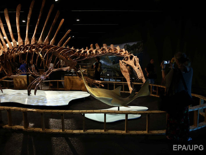 Найденный в Англии "коричневый камень" оказался первым образцом мозга динозавра
