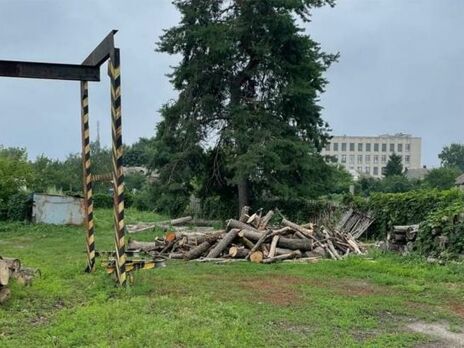 У Луганській області викрили схему з незаконного вирубування лісу на 1 млн грн – прокуратура