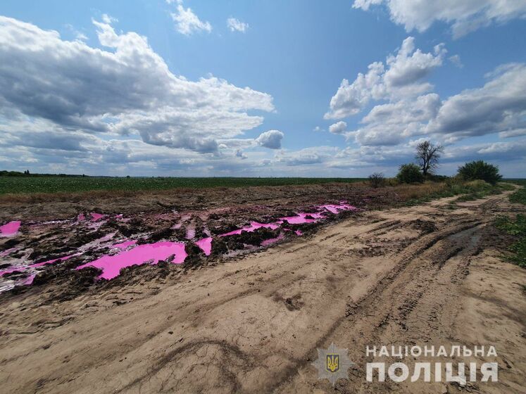 Поліція почала розслідування через рожеві калюжі з невідомою речовиною в полі під Рівним