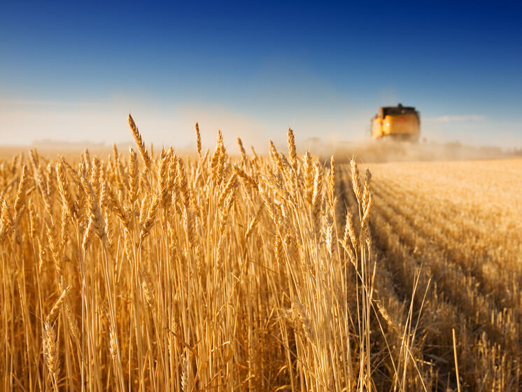 У Сумській області горіло пшеничне поле площею 90 га