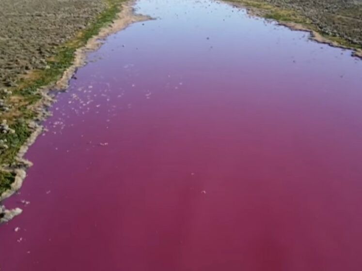 В Аргентине лагуна окрасилась в розовый цвет. Видео