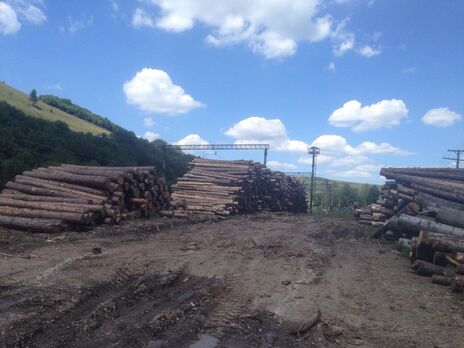Рубка леса в Карпатах не прекращается – Специализированная экологическая прокуратура Украины