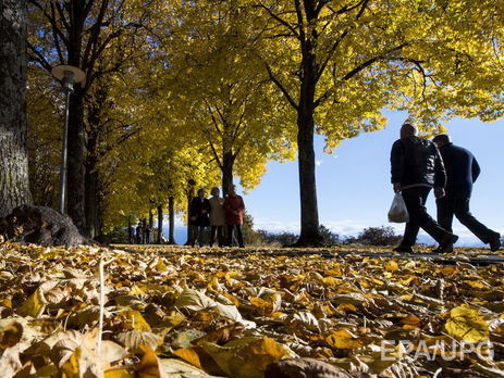 Госслужба по ЧС: 29 октября почти во всех областях Украины ожидается штормовой ветер