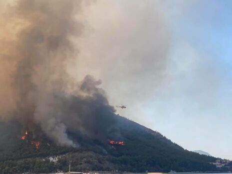 28 29 июля в 17 провинциях Турции произошло 58 лесных пожаров, 38 из них локализированы