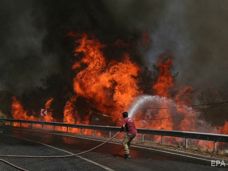 Увеличилось число жертв лесных пожаров в Турции, продолжается тушение пяти возгораний
