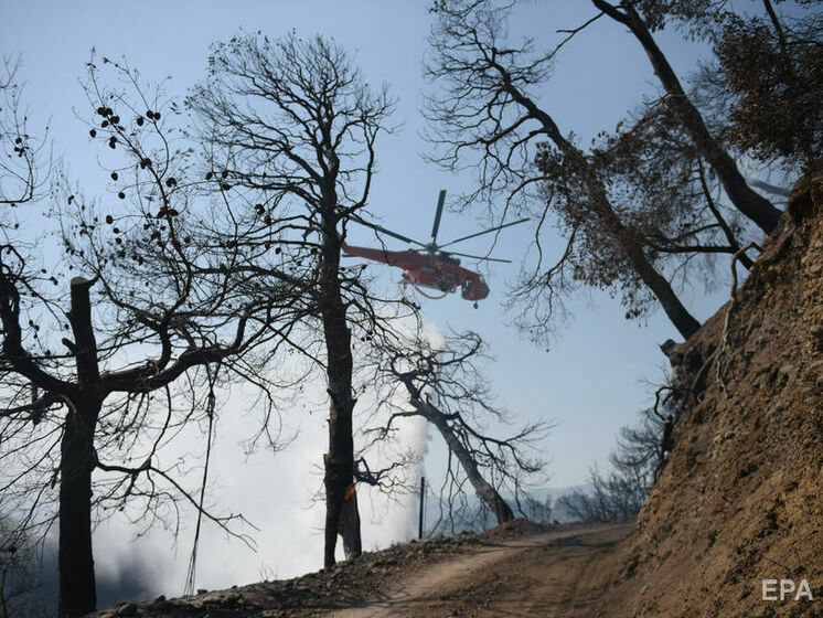 У Греції спалахнули лісові пожежі, евакуйовано кілька населених пунктів. Відео