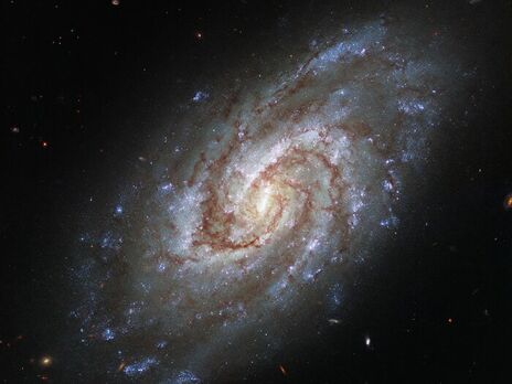 Hubble сфотографував спіральну галактику в сузір'ї Годинник