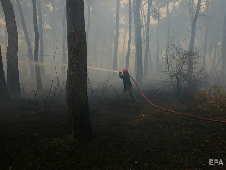 "Метинвест" оплатил рейс спецсамолета в Грецию для тушения лесных пожаров 