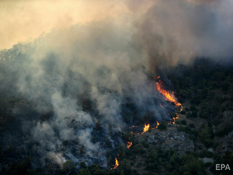 В Турции загорелся лес в районе международного аэропорта Даламан
