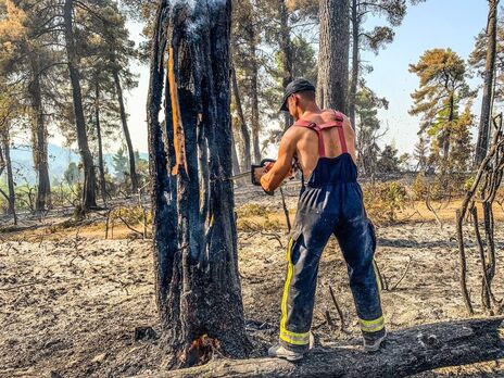 Урятували 23 га оливкового та інжирового саду. Українські рятувальники й далі гасять пожежі у Греції
