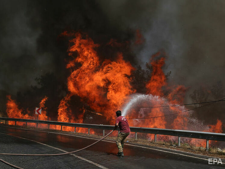 Влада Туреччини повідомила, що всі великі лісові пожежі загасили