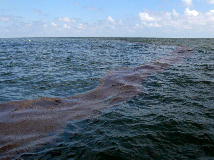 У Чорному морі сталася екологічна катастрофа: витік 100 тонн нафти – Асоціація реінтеграції Криму