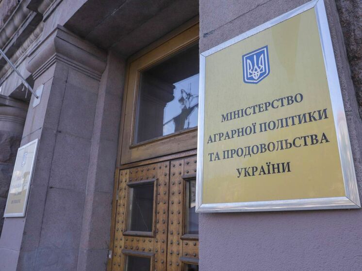 Украинским производителям картофеля планируют выделить государственную помощь – Минагрополитики