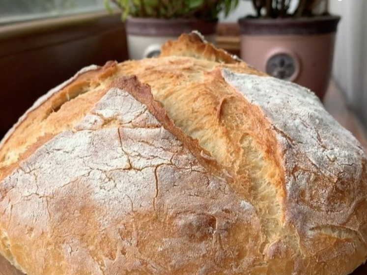 Домашний хлеб без замеса. Рецепт и секреты приготовления