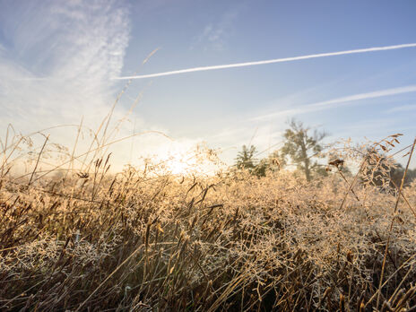 ДСНС попередила про заморозки в Україні 6–8 вересня