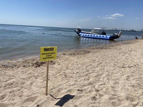 Арендаторы пляжей в июле просили отдыхающих не выносить медуз на берег, их собирали и вывозили коммунальщики
