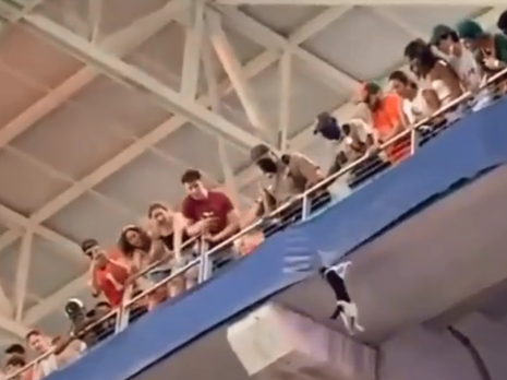 В Майами на матче по американскому футболу кот упал с верхней трибуны, его спасли благодаря флагу. Видео 
