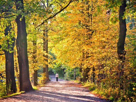 13 сентября: какой сегодня праздник, у кого именины, народные приметы