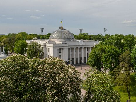 Противники законопроекта об олигархах пытаются убрать из документа два ключевых термина – Малюська