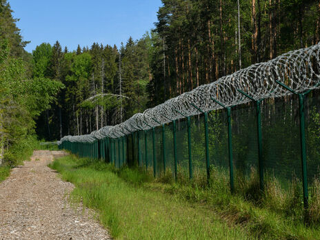 Литва до конца года построит 100 км забора с колючей проволокой на границе с Беларусью