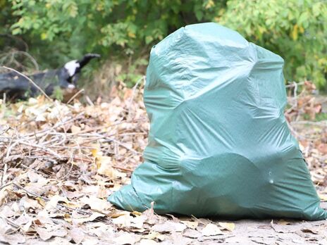 У Києві під час екологічної акції протягом дня зібрали 500 м³ сміття