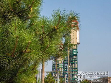 Одеський припортовий завод одне з найбільших держпідприємств у хімічній галузі України