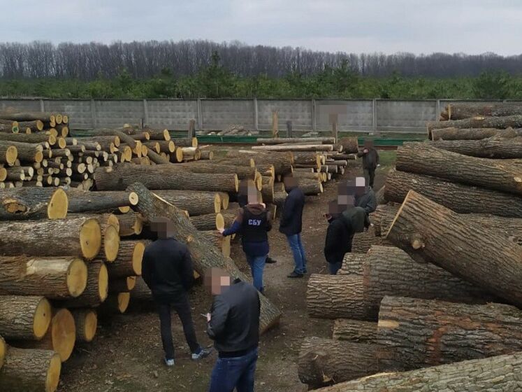 Від початку року в Україні засудили понад 40 організаторів нелегального продажу лісу – СБУ